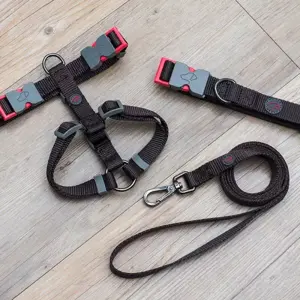 120 x 1.5cm WalkAbout Dog Lead/SML - Jet - image 2