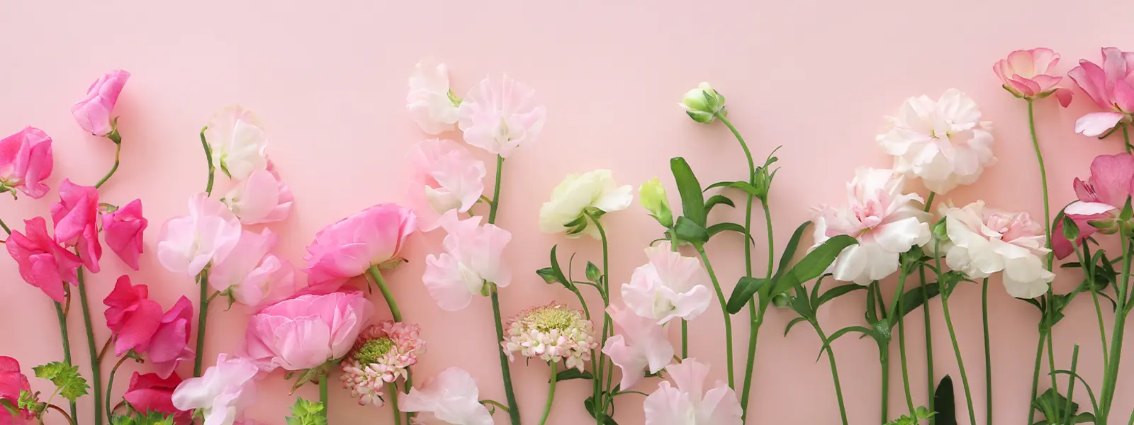 Give your mum something special this Mother's Day