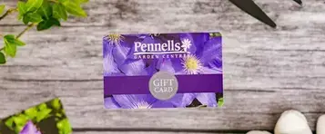 Pennells Gift Cards – The Perfect Gift