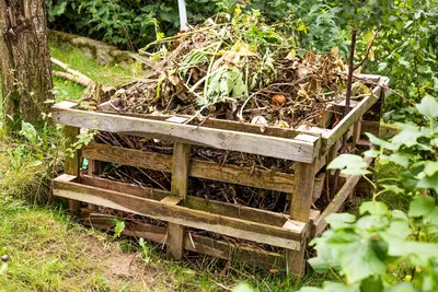 How to make a compost bin