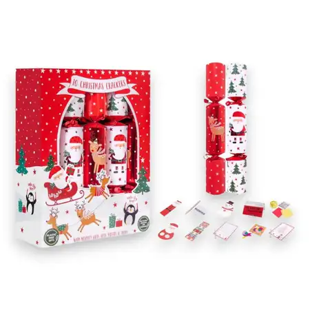 10 FAMILY SNOWFLAKE 12" CRACKERS - image 1