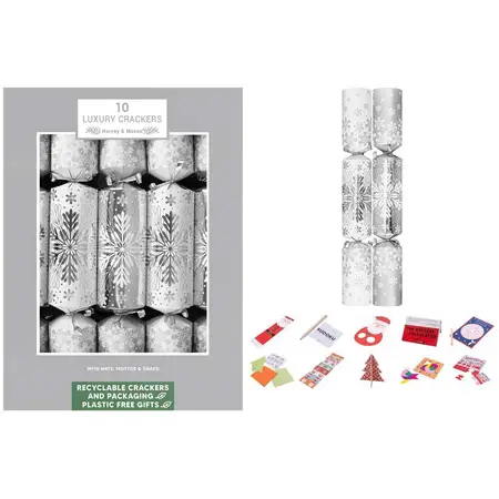 10 LUXURY SILVER SNOWFLAKE 14" CRACKERS
