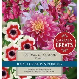 100 DAYS OF COLOUR COLLECTION