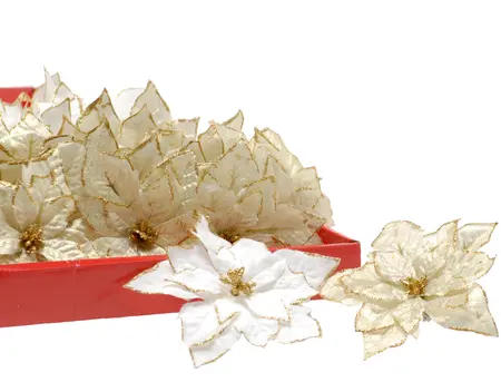 14cm 2 Assorted Cream and Gold Clip Poinsettia
