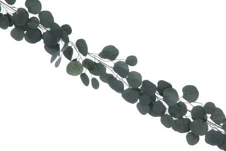 166cm Eucalyptus Garland
