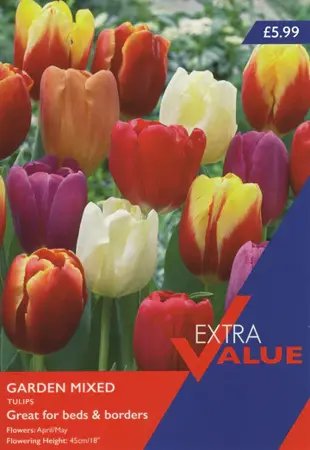 20 P/P X 12 TULIP GARDEN MIX 10-11