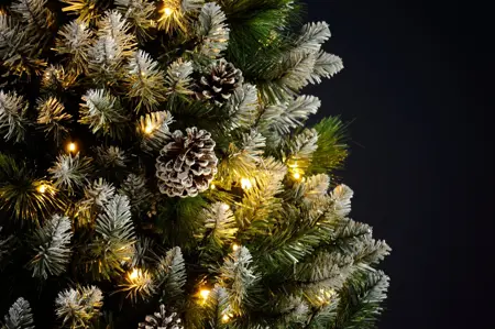 210cm grand river pine tree - image 2