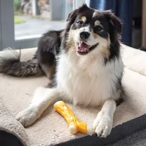 Chicken Flavour Nylon TuffStick 21 cm