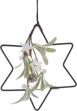 21cm Metal Star with Frosted Mistletoe & Star