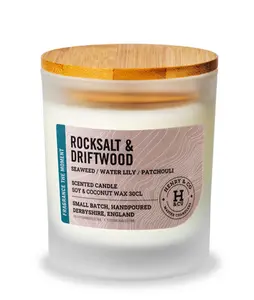 30Cl Candle Rock Salt & Diftwood - image 1