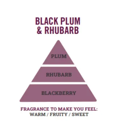 35g Mini Wax Melt Bar black Plum & Rhubarb - image 3