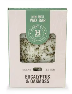 35g Mini Wax Melt Bar Eucalyptus & Oakmoss - image 1