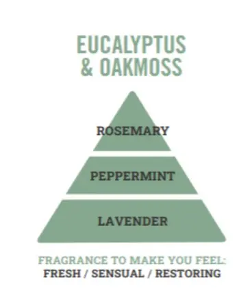 35g Mini Wax Melt Bar Eucalyptus & Oakmoss - image 3
