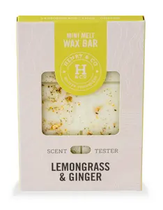 35g Mini Wax Melt Bar Lemongrass & Ginger - image 1