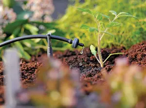 4LPH End of Line Pressure Compensating Dripper (5 pack) - image 2