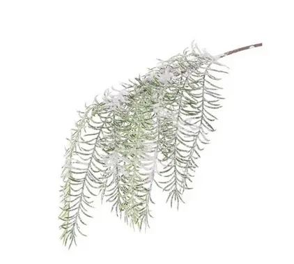 58cm Snowy Asparagus Artificial Christmas Spray