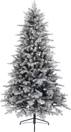 5ft Frosted Vermont Spruce