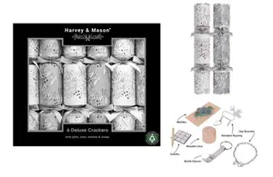 6 x 13.5" DELUXE SILVER FOLIAGE CRACKERS