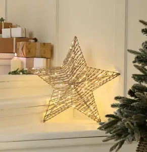 60cm Battery Operated Lit Champagne Gold Star