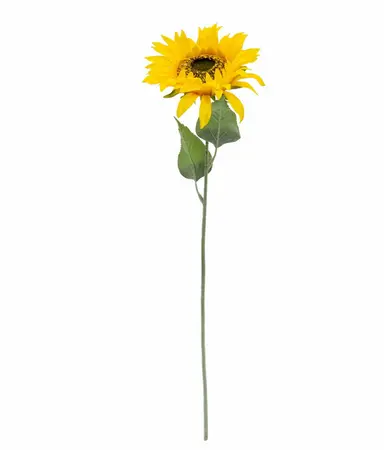 70Cm Single Sunflower - image 2