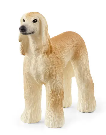 AFGHAN HOUND - image 1