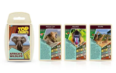 African Wildlife - image 3