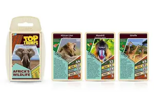African Wildlife - image 3