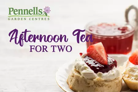 AFTERNOON TEA FOR TWO