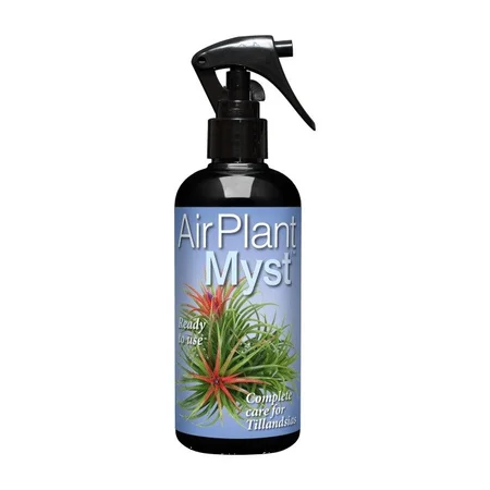 Air Plant Myst