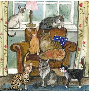 Fm213 Cat House Fridge Magnet