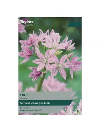 Allium Eros 5+ P/P