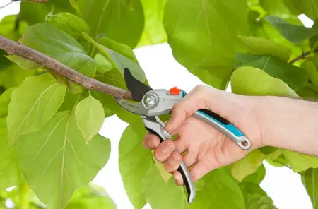 Alu Garden Secateurs B/L 1 - image 2