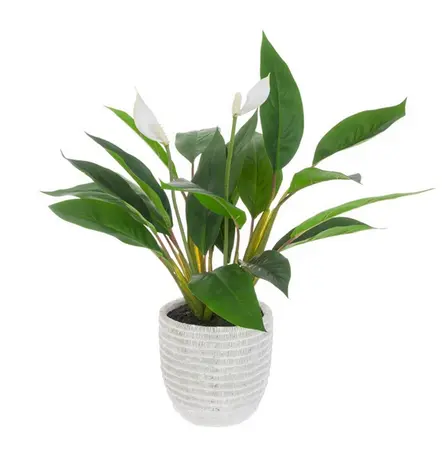 Artificial Peace Lily in Decorative Pot 54cm - image 1