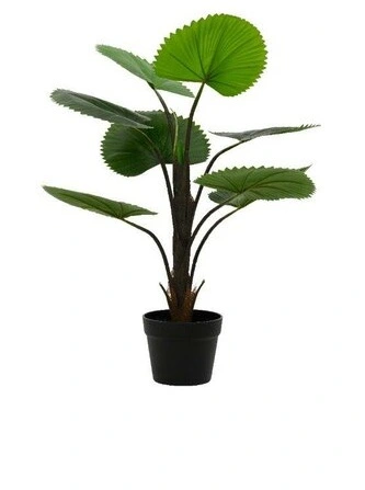 Artificial Plant Licuala Palm in Pot