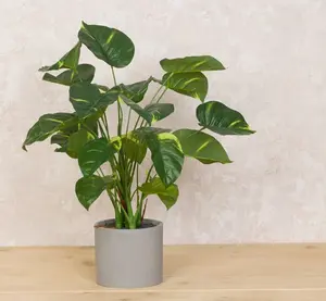 Artificial Pothos Bush in Pot - 41cm - image 2