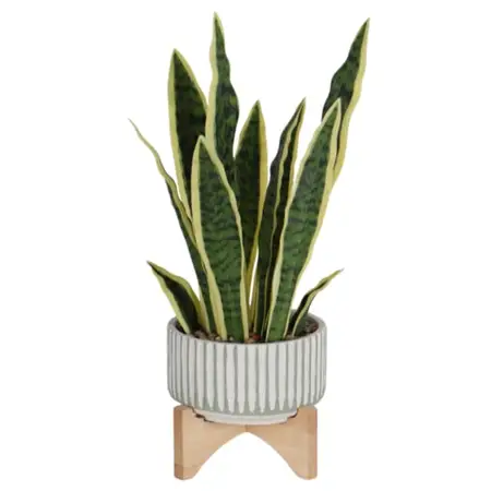 Artificial Zarah Pot Plant, 47cm Height - image 1