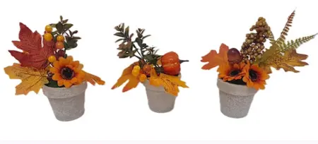 AUTUMN PLANT IN POT 21CM 3 ASSORTED DESIGNS
