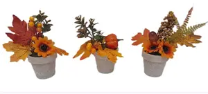 AUTUMN PLANT IN POT 21CM 3 ASSORTED DESIGNS