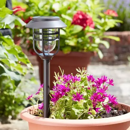 Avant Stake Light - 5L - image 1