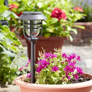 Avant Stake Light - 5L - image 1