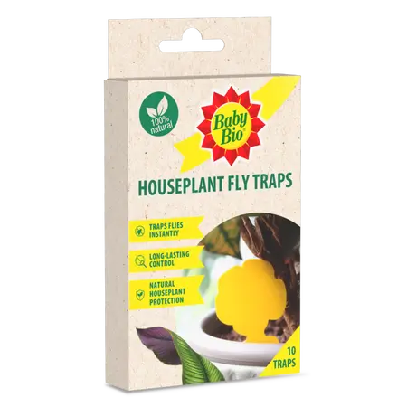 Baby Bio House Plant Fly Trap (10 Traps)