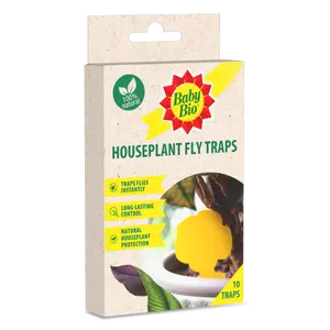 Baby Bio House Plant Fly Trap (10 Traps)