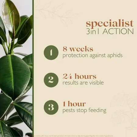 Baby Bio Houseplant Bug Killer 1L - image 3