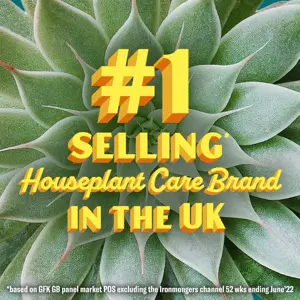 Baby Bio Succulent Food 175Ml - image 2