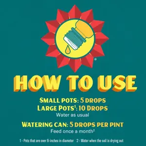 Baby Bio Succulent Food 175Ml - image 3