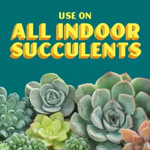 Baby Bio Succulent Food 175Ml - image 4