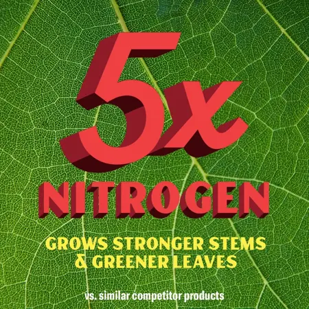 Baby Bio Succulent Food 175Ml - image 5