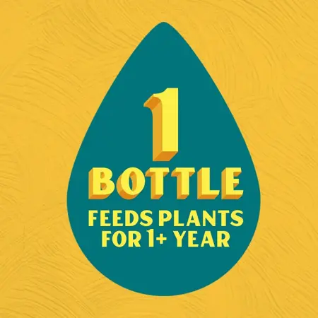 Baby Bio Succulent Food 175Ml - image 6