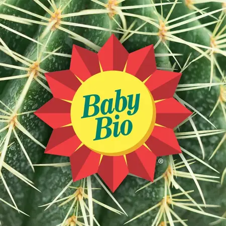 Baby Bio Succulent Food 175Ml - image 7