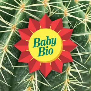 Baby Bio Succulent Food 175Ml - image 7